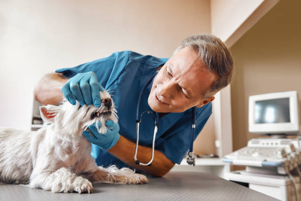Best Walk-In Emergency Dentist in Ohatchee, AL
