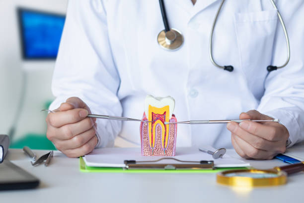 Best Emergency Broken Tooth Repair in Ohatchee, AL